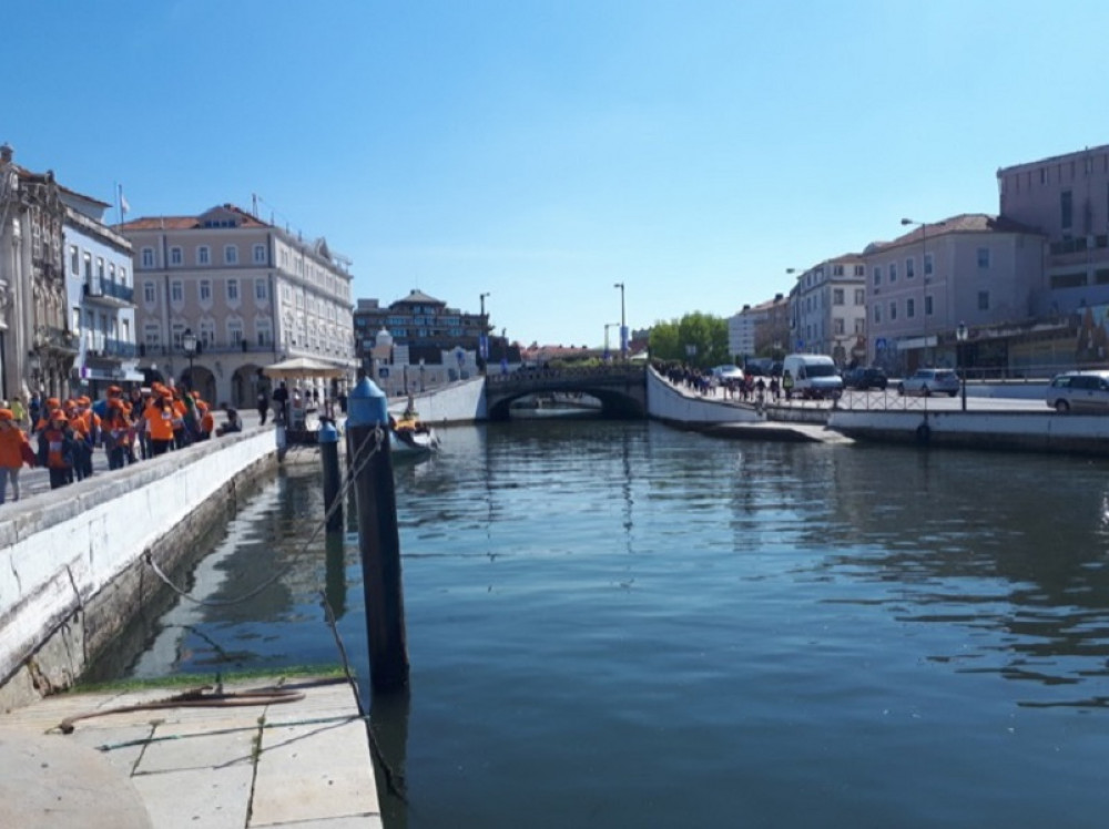 Visit Aveiro & Coimbra Private Tour From Porto