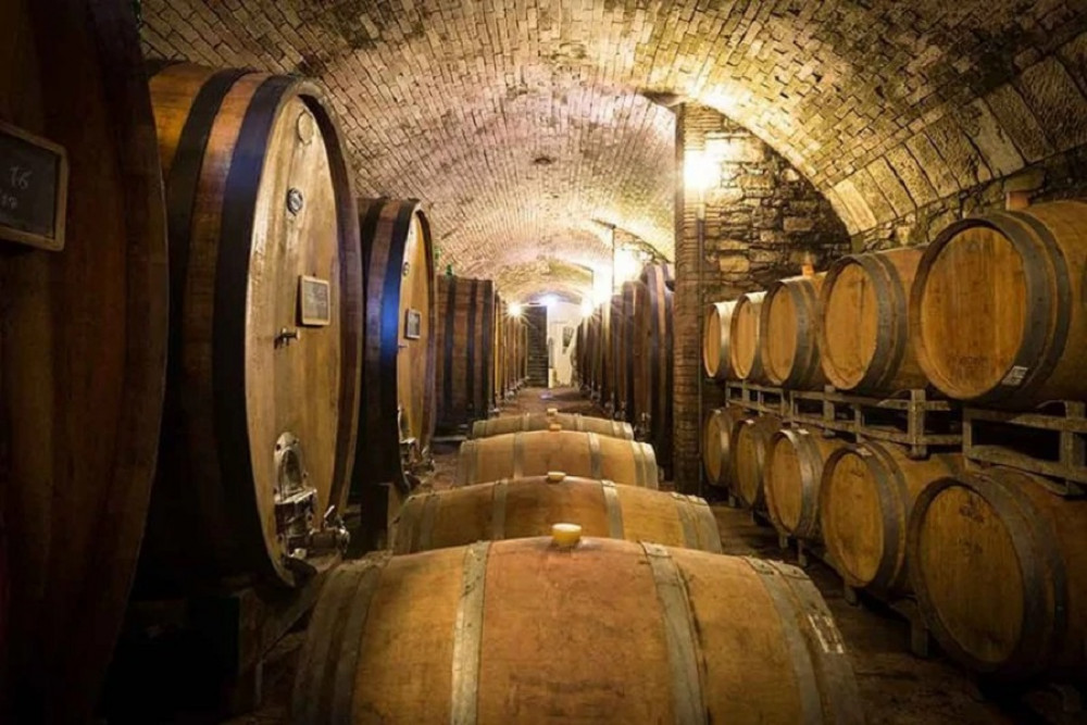 Small Group Wine & Food Experience in Tuscany