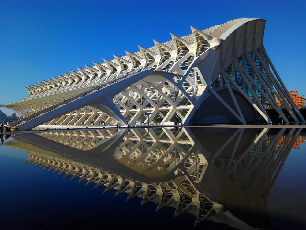Valencia: Private Guided Tour with Transport
