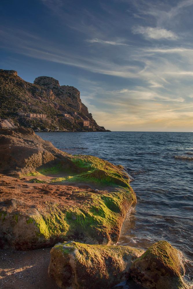 Cartagena: Private Guided Tour with Transport