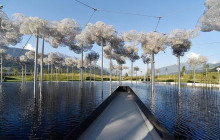 L.T.D.E transfer Kg6