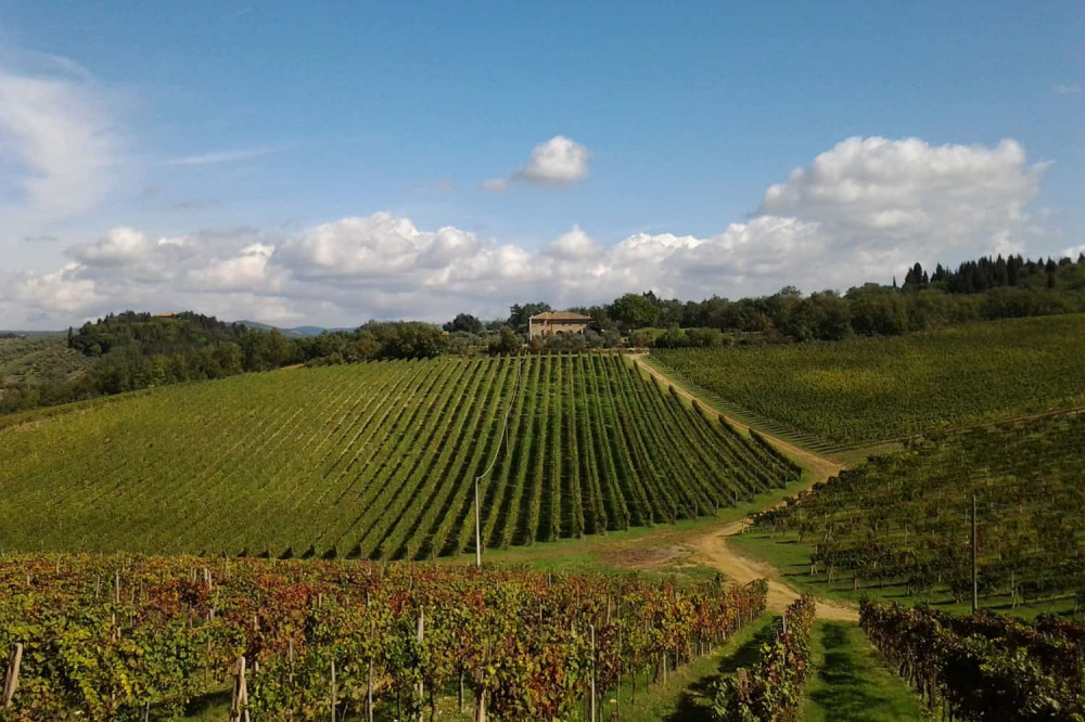 Private Tour to Chianti and Wineries from Livorno Port