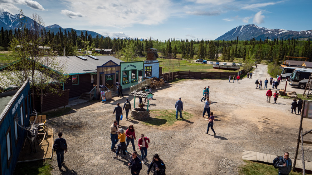 The Wildlife Museum and Royal Canadian Mounted Police Museum Admission