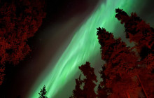 Wild Adventure Yukon7