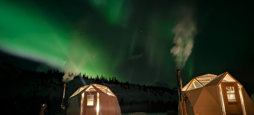 Premium Aurora Dome & Wildlife Museum Experience in Whitehorse