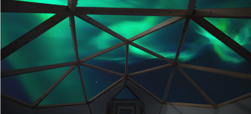 Premium Aurora Dome & Wildlife Museum Experience in Whitehorse