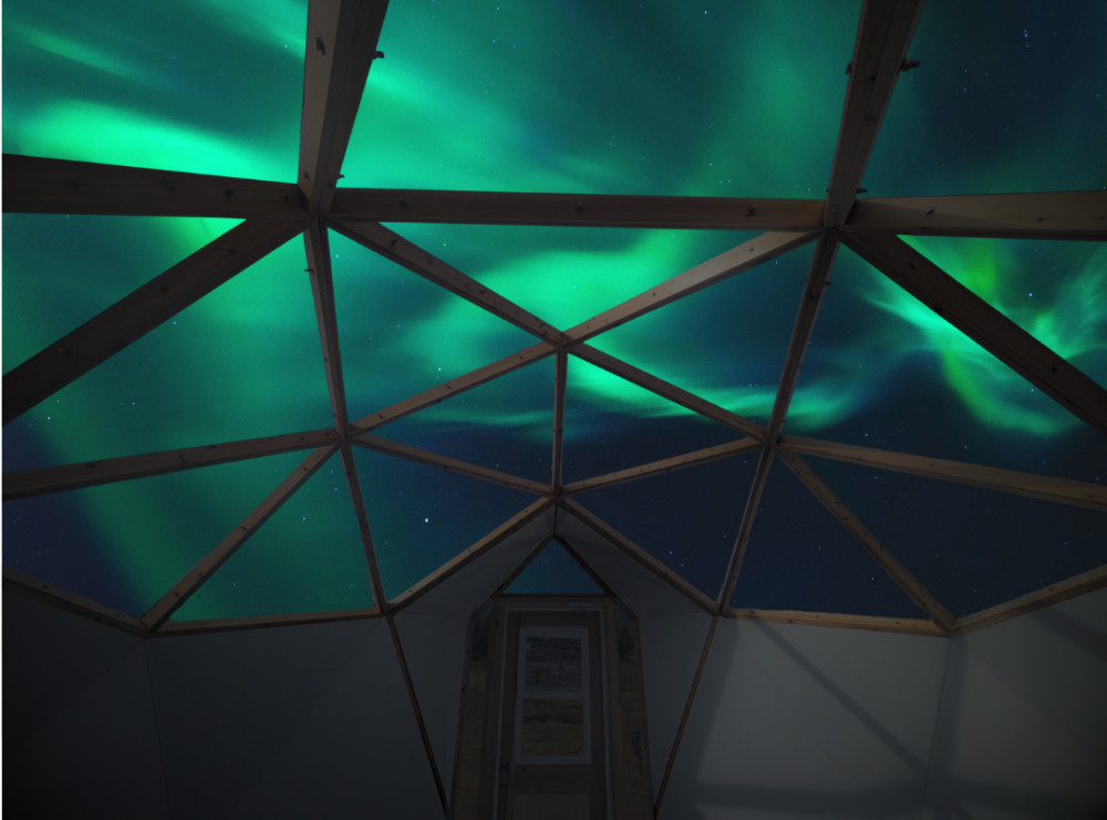 Premium Aurora Dome & Wildlife Museum Experience in Whitehorse