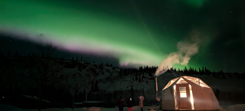 Premium Aurora Dome & Wildlife Museum Experience in Whitehorse