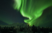 Wild Adventure Yukon16