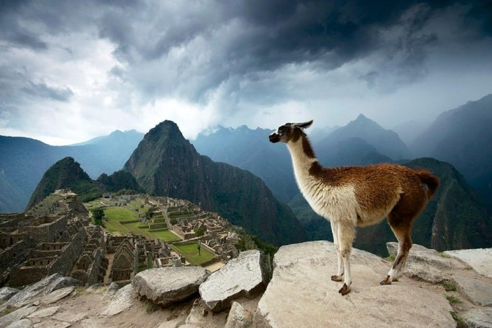 Private Full-Day Machu Picchu Tour by Vistadome Train from Cusco