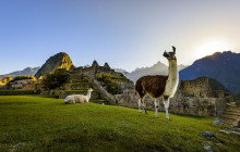 Machu Picchu Peru Tours28