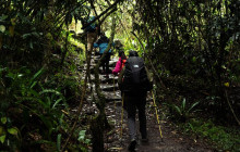 Machu Picchu Peru Tours20