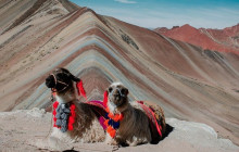 Machu Picchu Peru Tours2