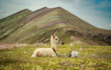 Machu Picchu Peru Tours10