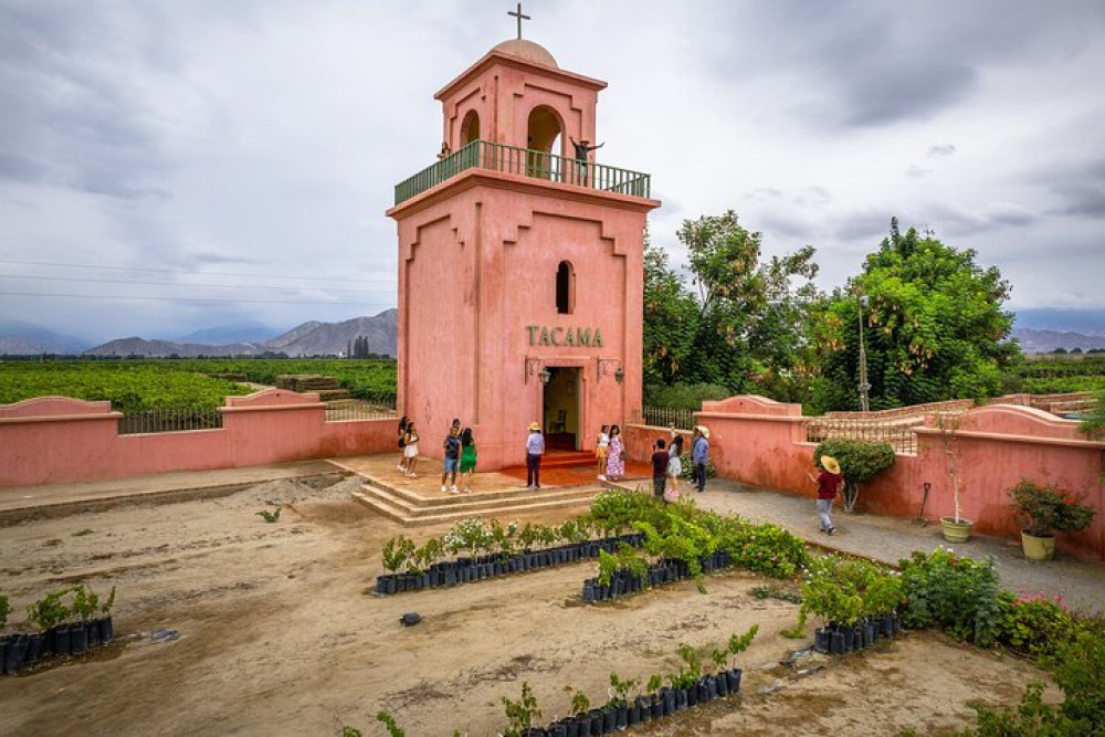 Private Morning Wine & Pisco Tasting Tour From Ica or Huacachina