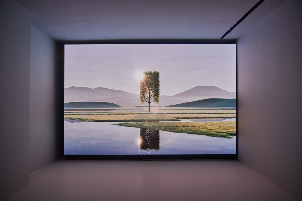 Regular Tickets - Moco Museum London