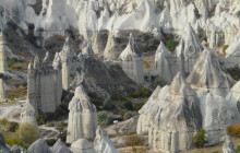 Vehiclize Travel Agency5