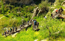 Vehiclize Travel Agency11