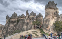 Vehiclize Travel Agency12