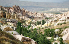 Vehiclize Travel Agency13