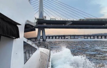 Vehiclize Travel Agency7