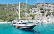 Vehiclize Travel Agency2