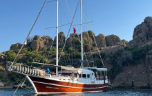 Vehiclize Travel Agency3