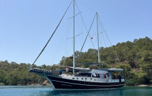 Vehiclize Travel Agency4