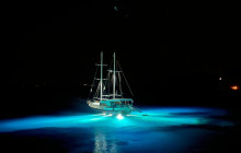 Vehiclize Travel Agency5