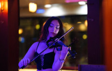 Vehiclize Travel Agency10