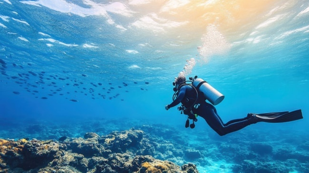 Private Guided Shore Dive