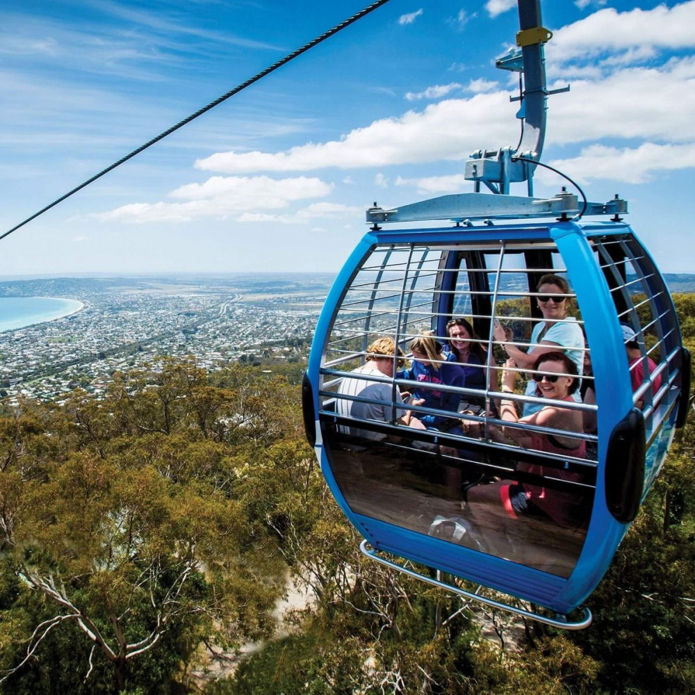 Arthurs Seat Eagle And Family Lunch For 4 People