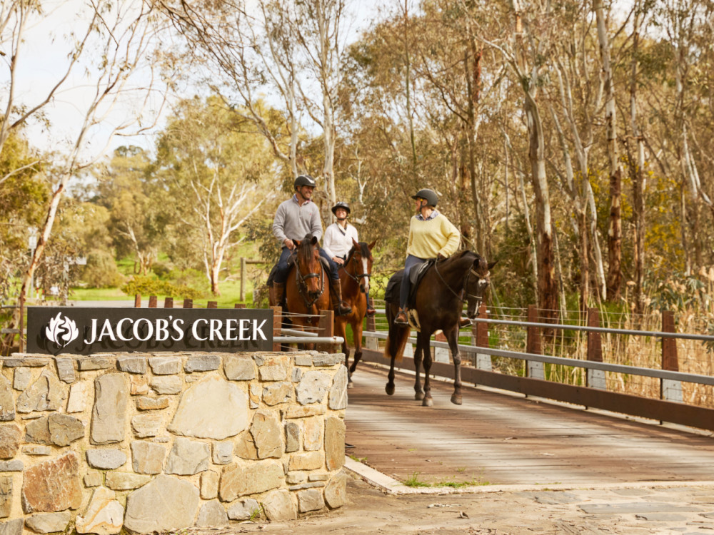 Scenic Horse Ride & Private Curated Tasting Experience