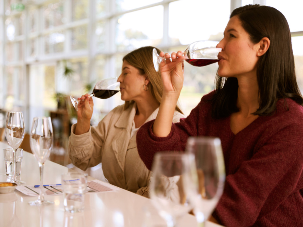 Vineyard Horse Ride & Romantic Picnic at Jacob's Creek (TC)