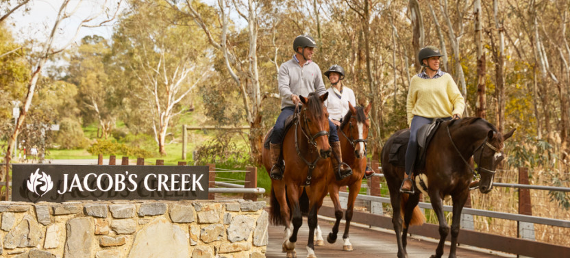 Scenic Horse Ride (1.5hr) & Romantic Picnic at Jacob's Creek (TC)