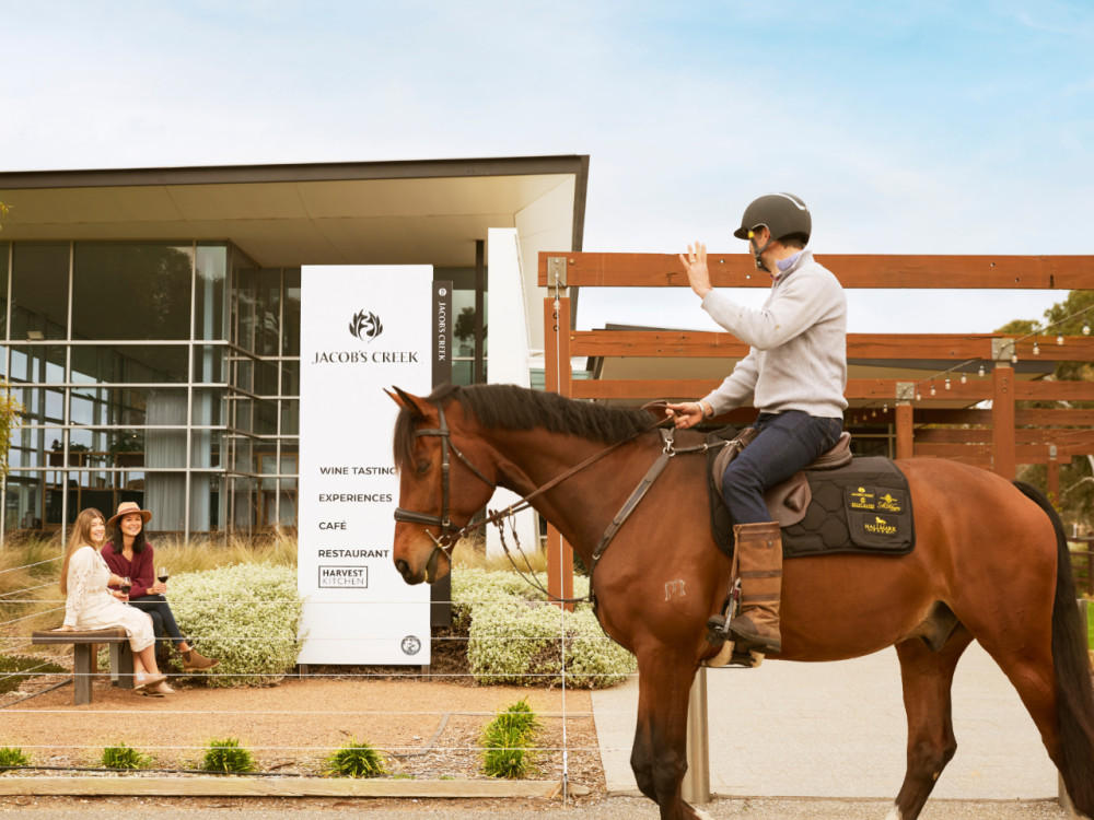 Vineyard Horse Ride & Tasting at Jacob's Creek (TC)