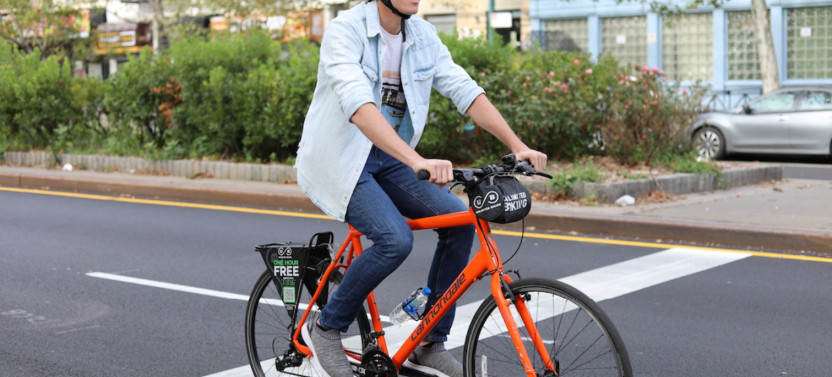 Santa Monica & Venice Beach Bike Tour