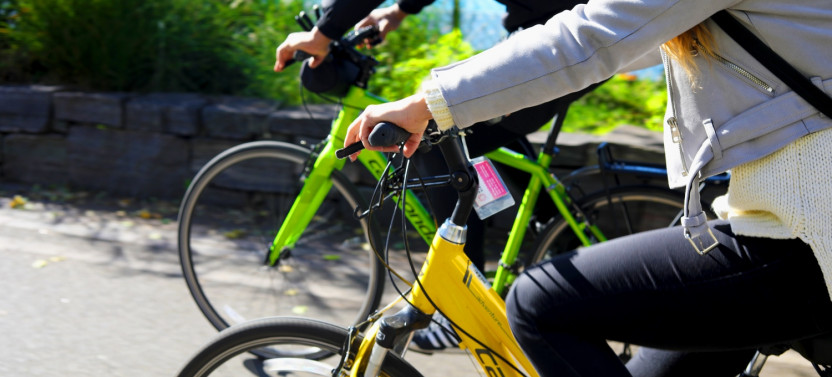 Santa Monica & Venice Beach Electric Bike Tour