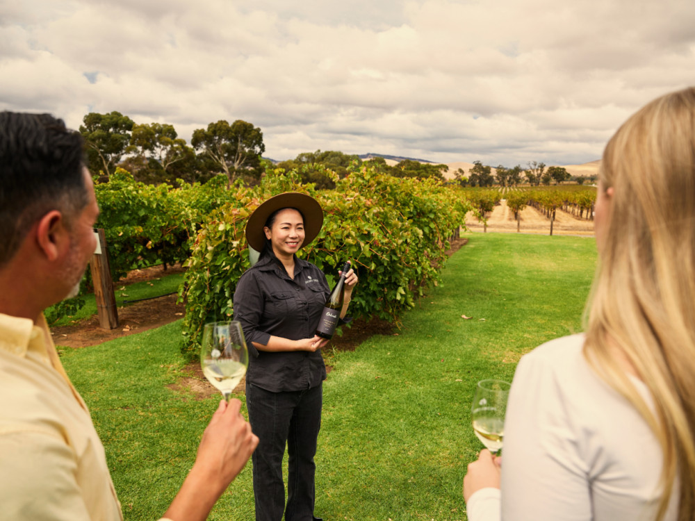Jacob's Creek Picnic Perfect