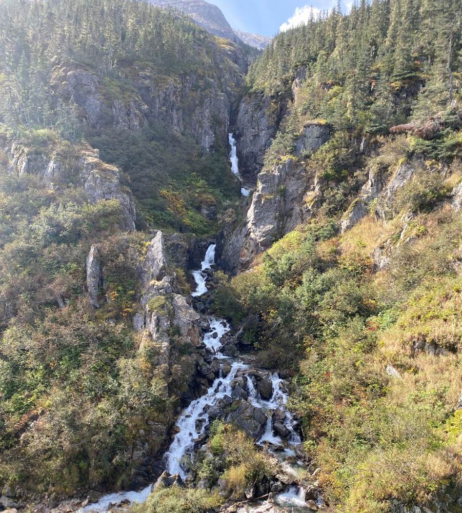 White Pass Summit Rail Yukon Suspension Bridge Tour By Rail Bus Skagway Project Expedition