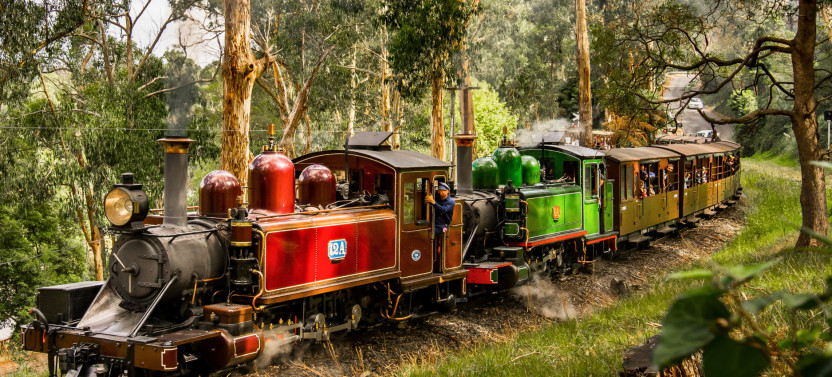 Puffing Billy & Redwoods Discovery Tour