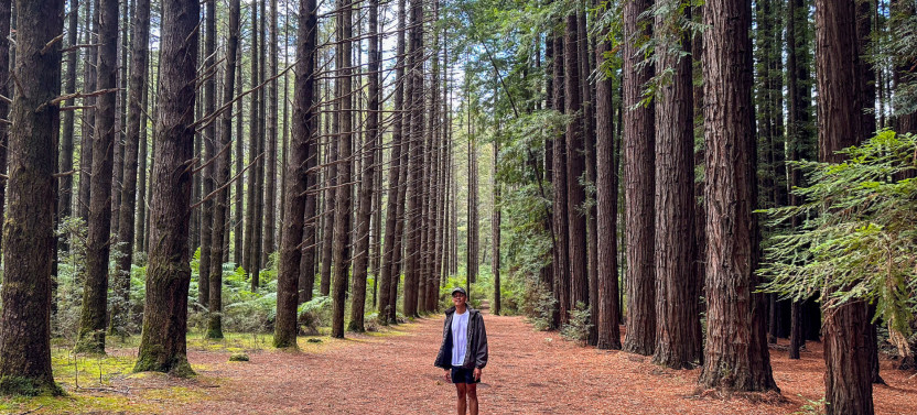 Puffing Billy & Redwoods Discovery Tour