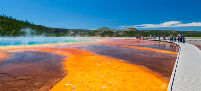 Full-Day Yellowstone Highlights Safari with Wildlife Viewing