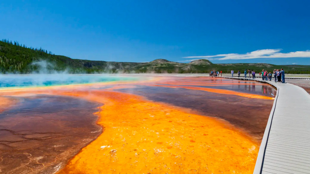 Full-Day Yellowstone Highlights Safari with Wildlife Viewing