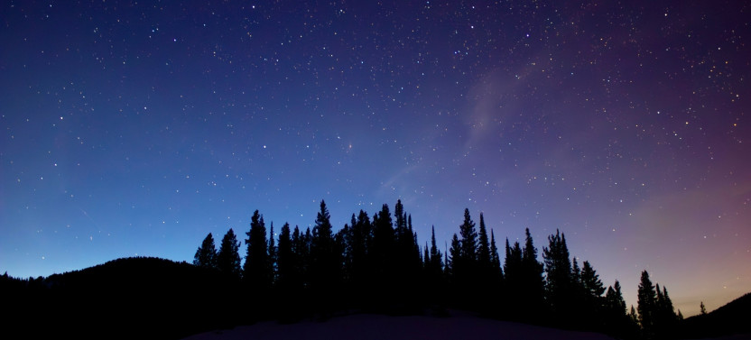 Private Evening Wildlife Safari & Stargazing Adventure in Yellowstone