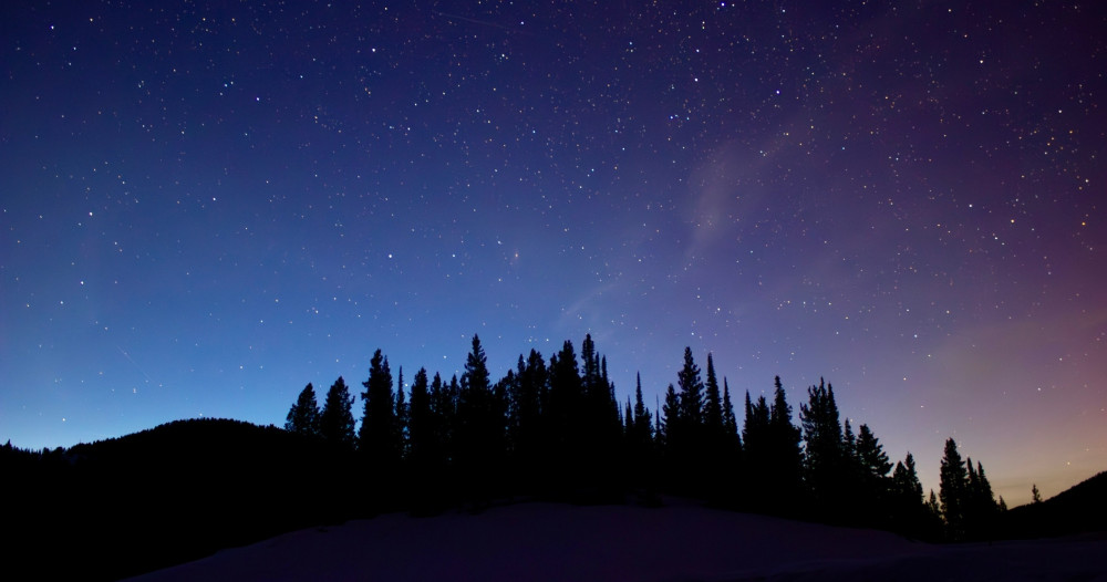 Private Evening Wildlife Safari & Stargazing Adventure in Yellowstone