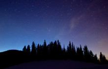 Yellowstone Safari Company4