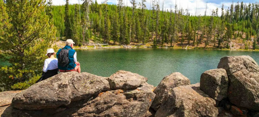 Private Yellowstone Walking Safari With Guided Wilderness Hikes