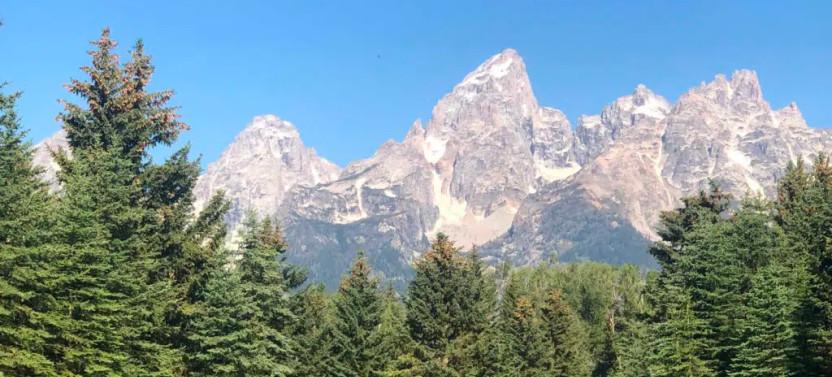 Private Yellowstone & Grand Teton Day Tour with Wildlife and Geysers