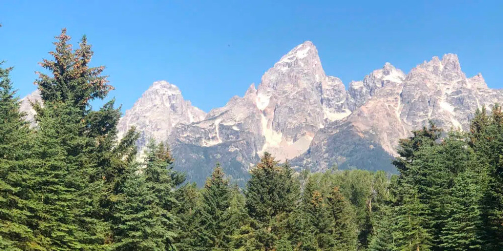 Private Yellowstone & Grand Teton Day Tour with Wildlife and Geysers